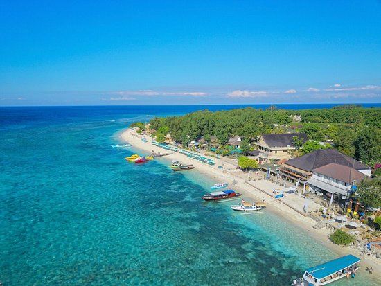 Scallywags Seafood Bar & Grill